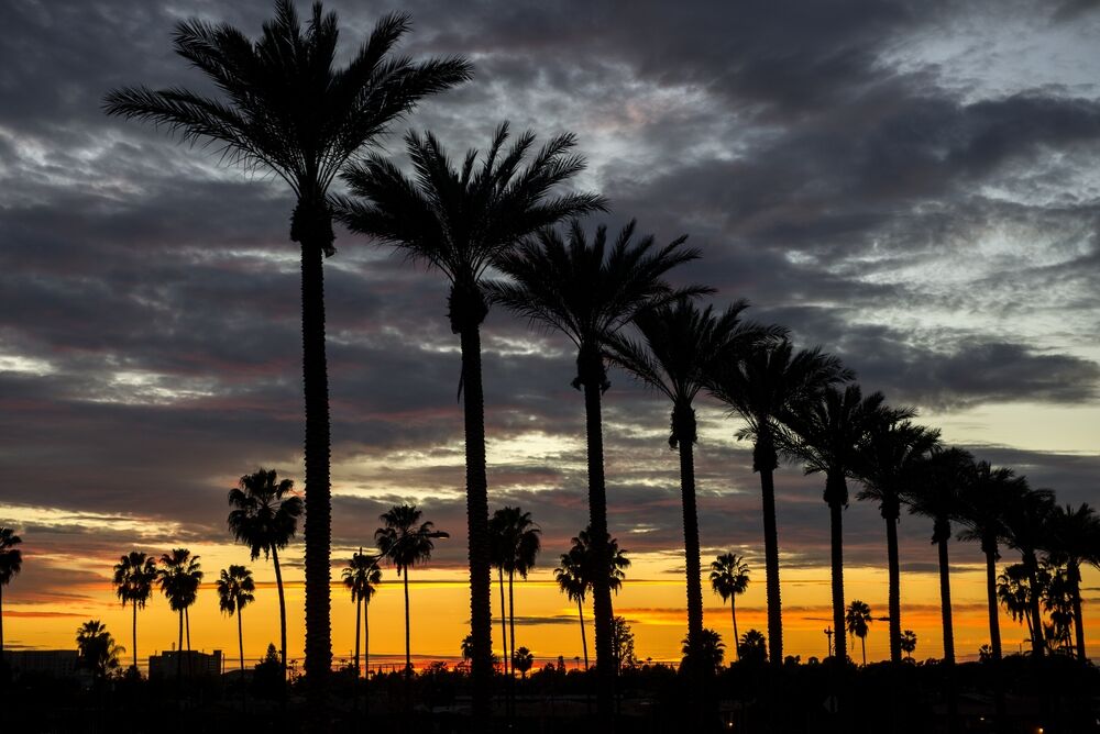 3. Anaheim, CA